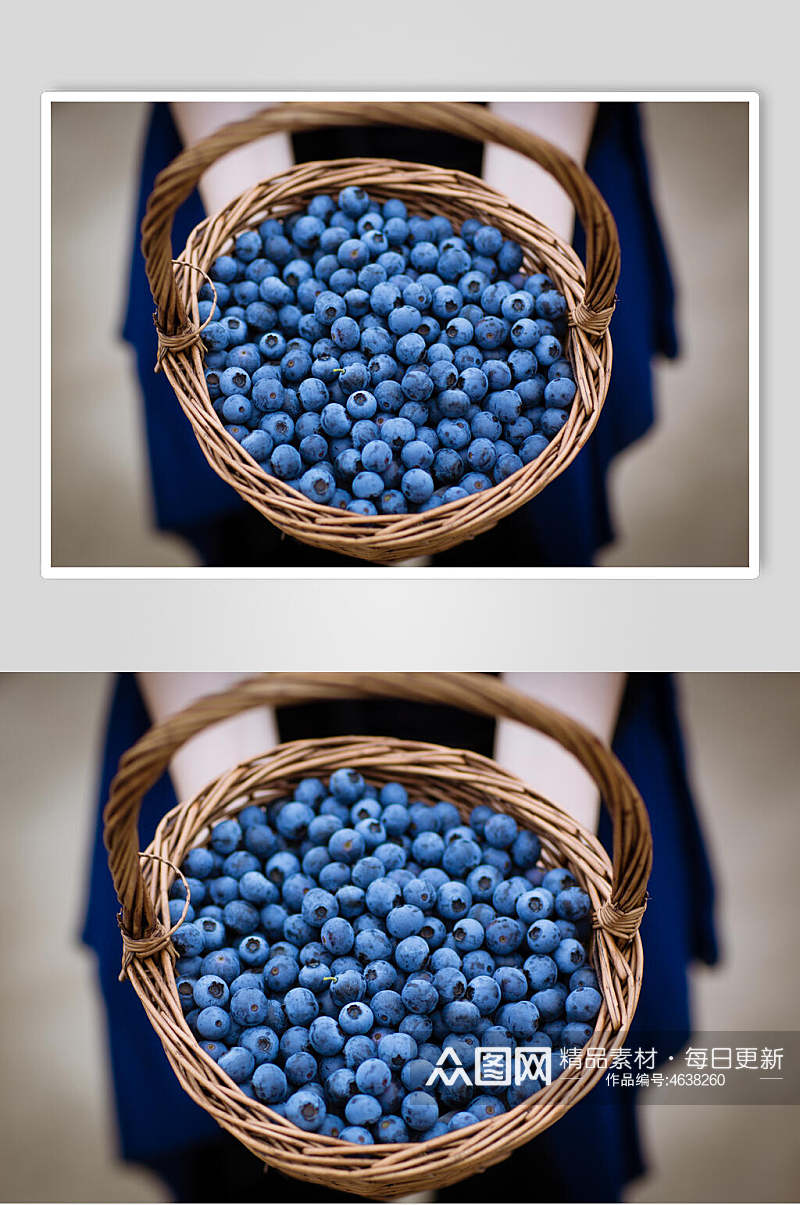 蓝莓水果摆饰摄影图素材