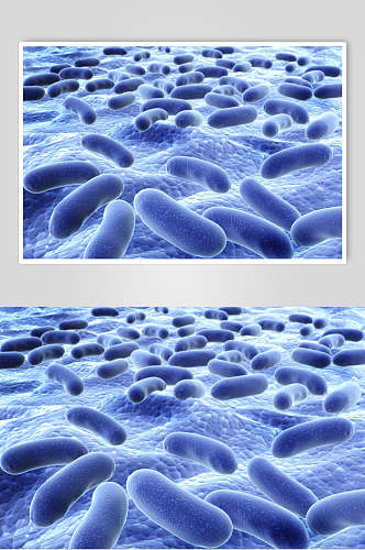 蓝色长椭圆形微生物分子图片