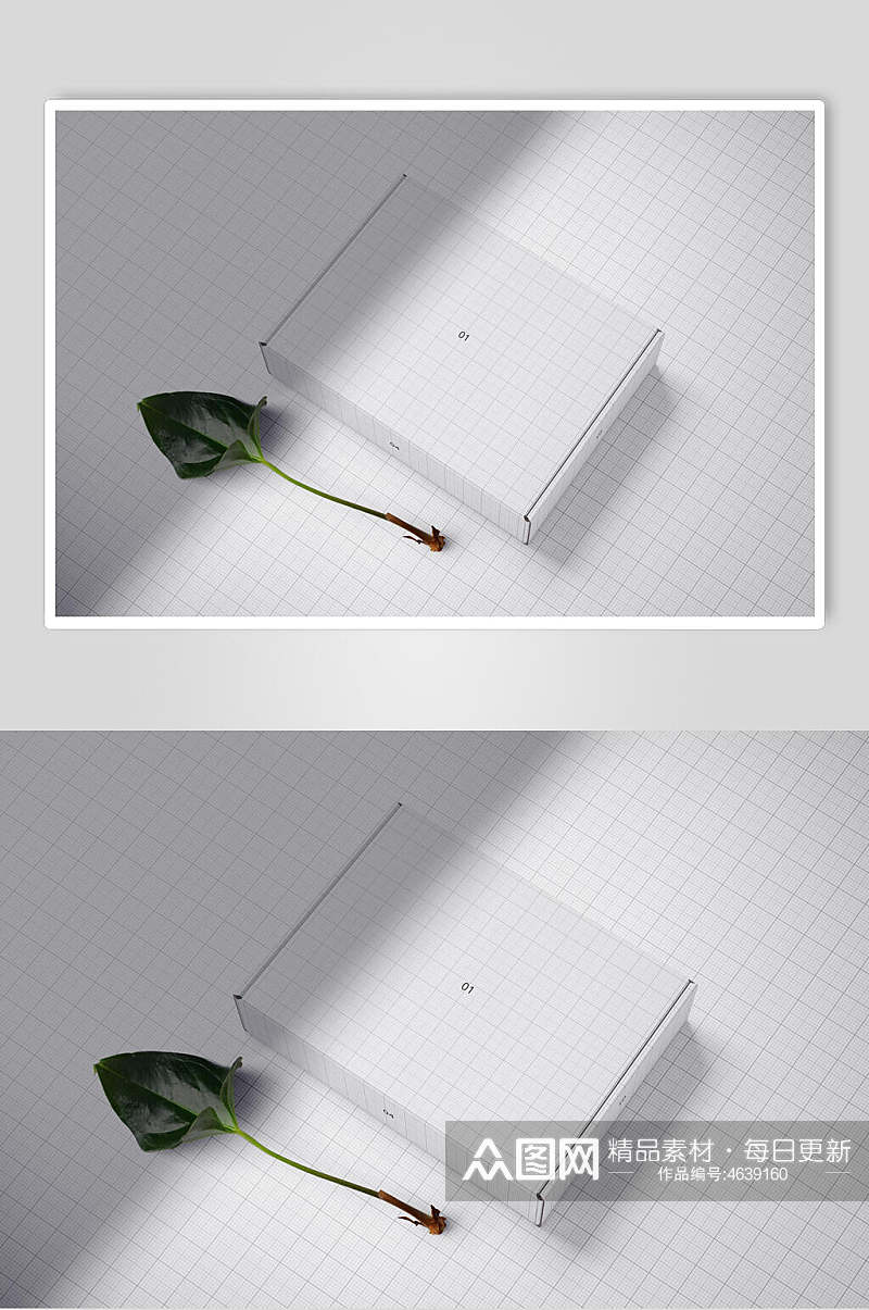 创意树叶高端印纸礼盒样机素材