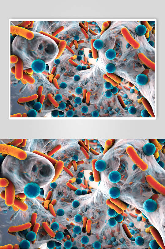实验微生物分子图片