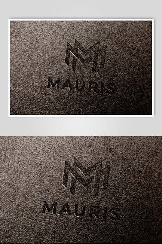 烫印大气品牌logo样机