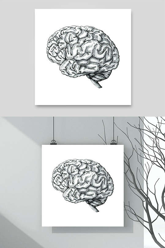 脑子手绘大脑矢量素材