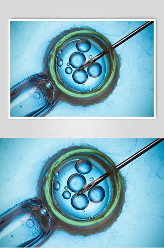 蓝色简约微生物分子图片