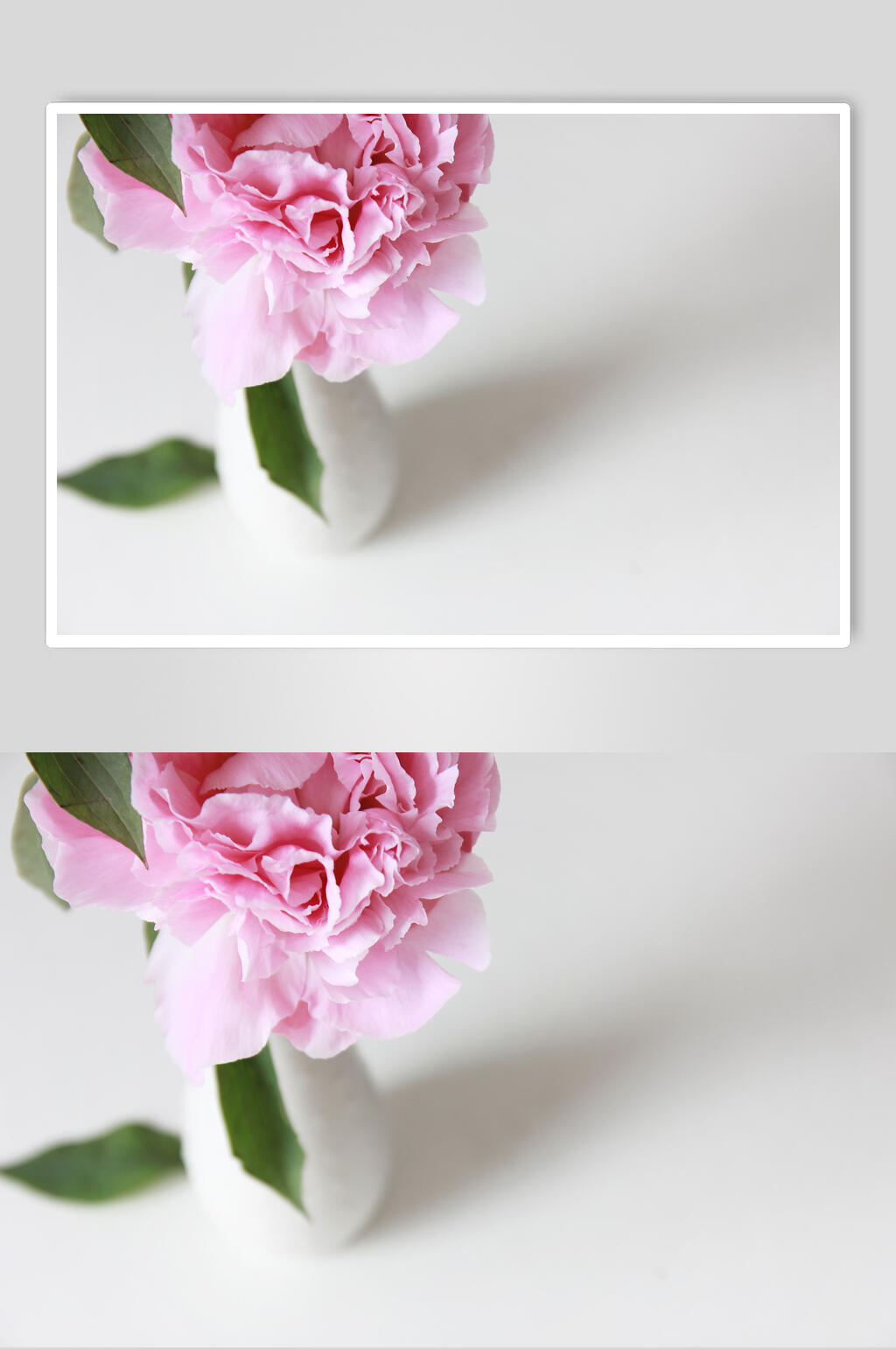 时尚插花鲜花图片素材
