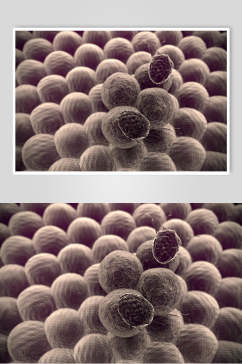 褐色时尚微生物分子图片