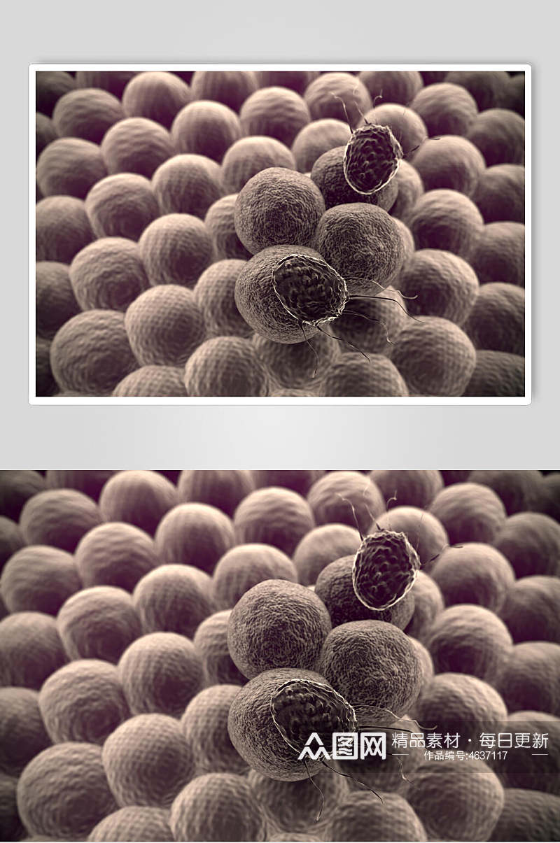 褐色时尚微生物分子图片素材