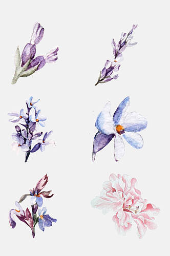 紫色水彩花叶免抠设计素材