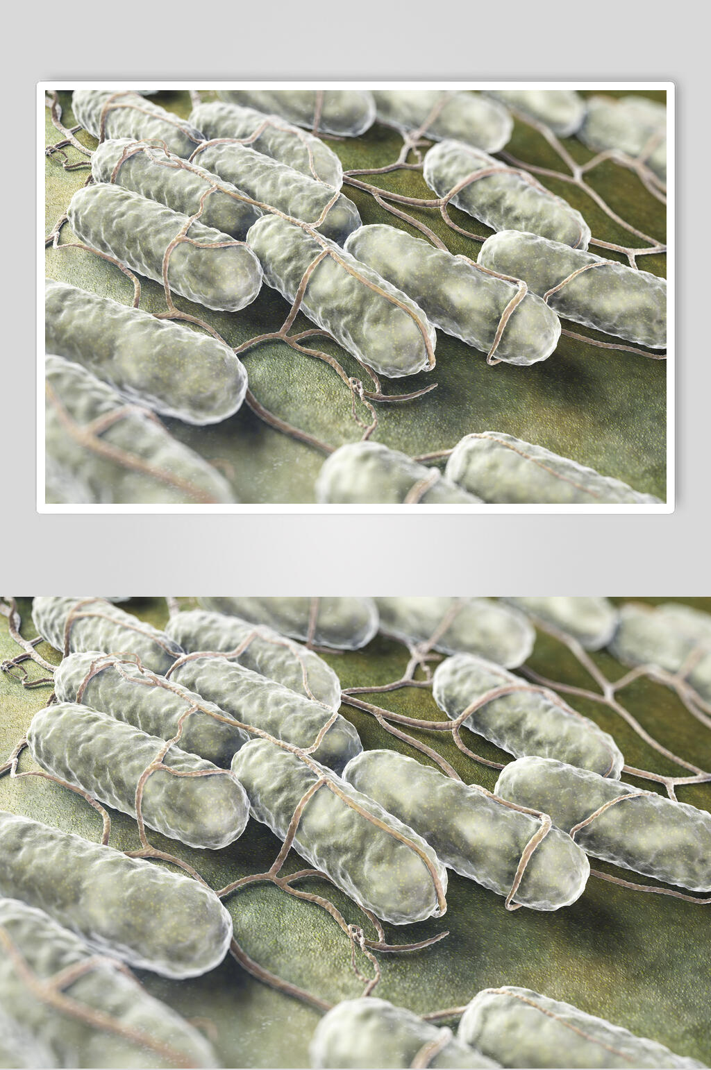 实验微生物分子图片素材