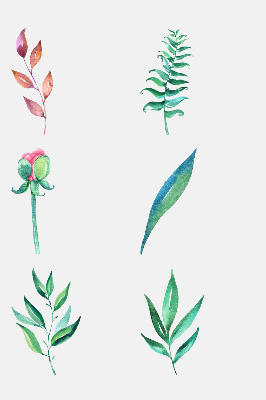 鲜花植物植物水彩免抠素材素材
