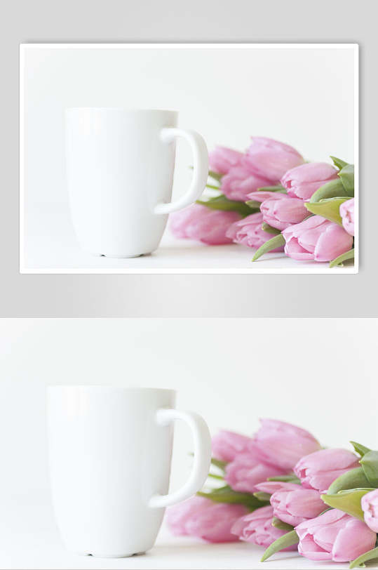 创意马克杯花朵鲜花图片