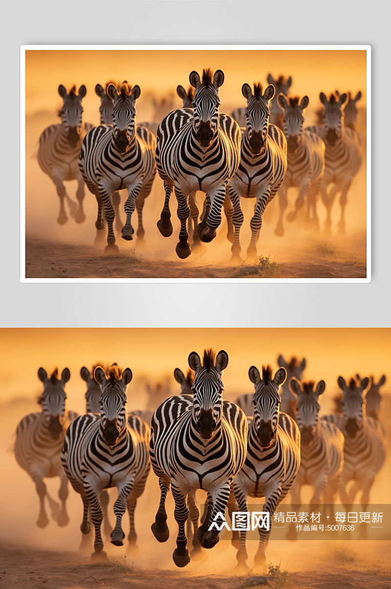 AI数字斑马动物摄影图素材