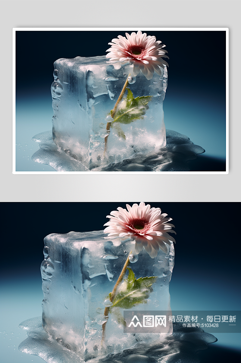 AI数字艺术被冰冻的花摄影图片素材