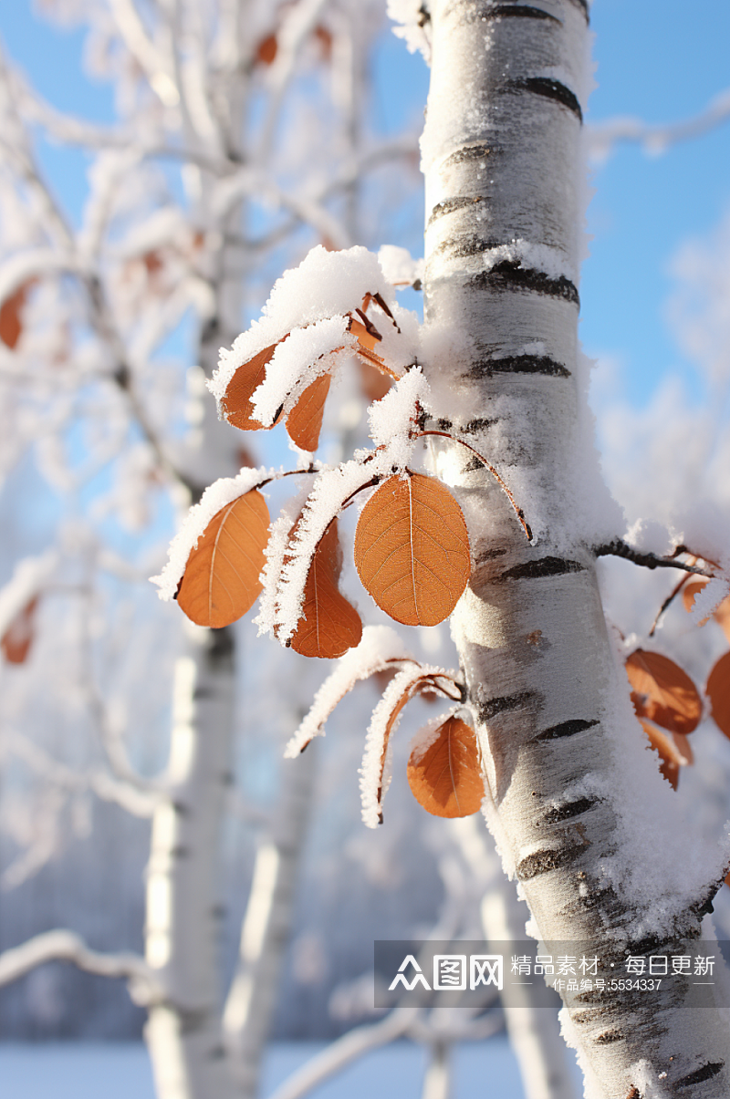 AI数字艺术大雪覆盖着冰霜的树枝摄影图素材