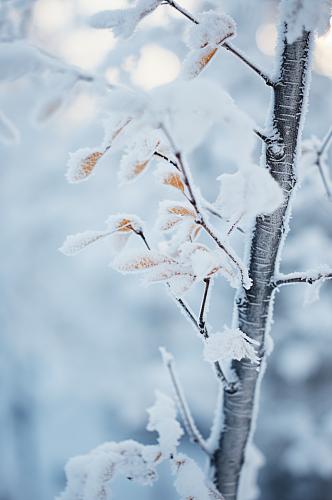 AI数字艺术大雪覆盖着冰霜的树枝摄影图