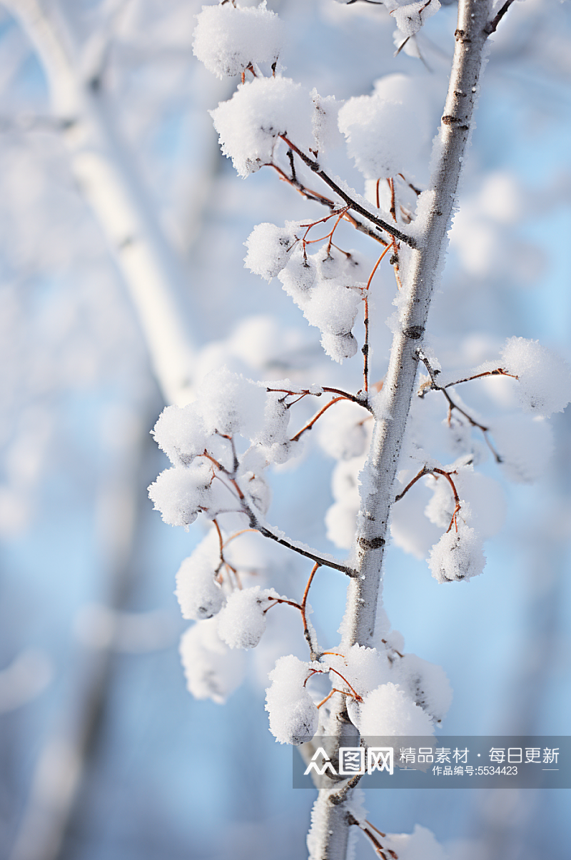 AI数字艺术大雪覆盖着冰霜的树枝摄影图素材