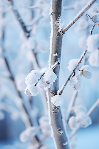 AI数字艺术大雪覆盖着冰霜的树枝摄影图