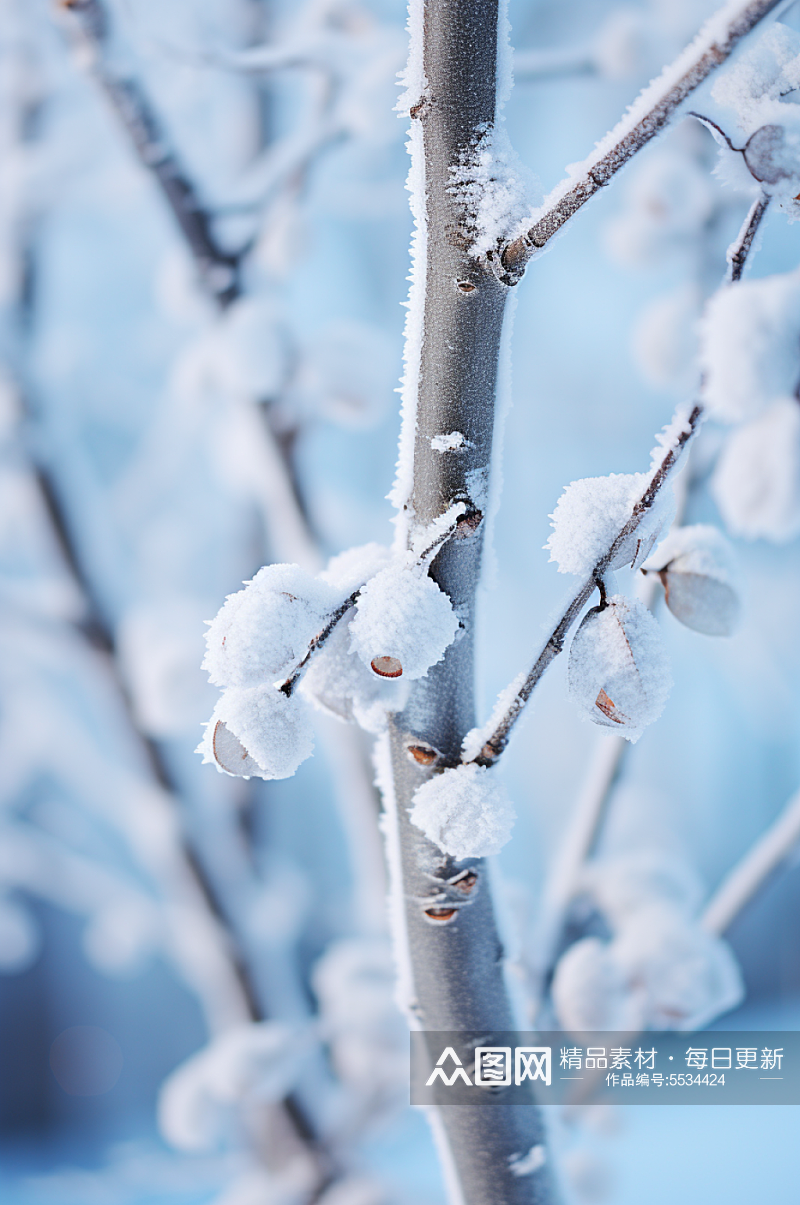 AI数字艺术大雪覆盖着冰霜的树枝摄影图素材