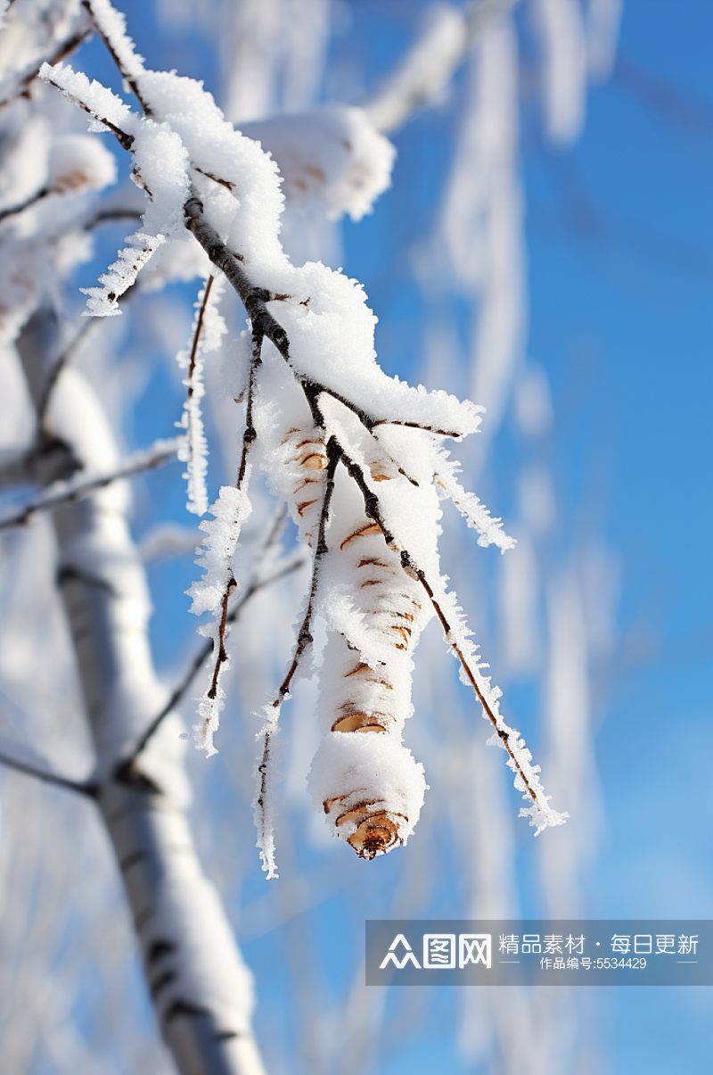 AI数字艺术大雪覆盖着冰霜的树枝摄影图素材