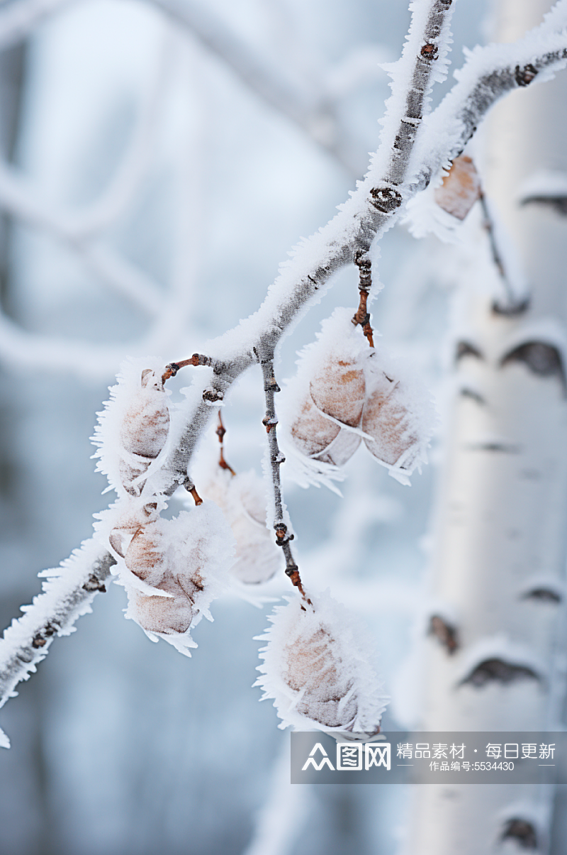 AI数字艺术大雪覆盖着冰霜的树枝摄影图素材