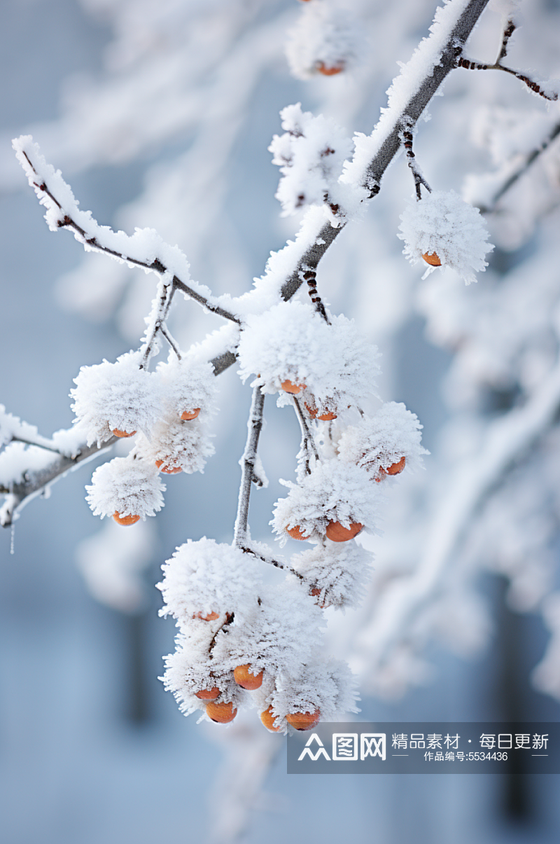 AI数字艺术大雪覆盖着冰霜的树枝摄影图素材