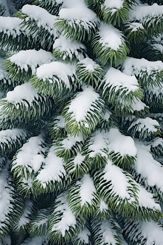 AI数字艺术大雪覆盖着冰霜的树枝摄影图