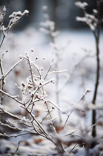 AI数字艺术大雪覆盖着冰霜的树枝摄影图