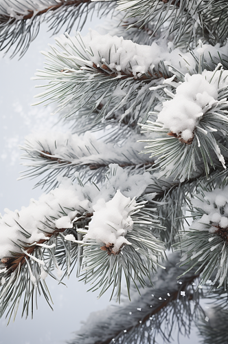 AI数字艺术大雪覆盖着冰霜的树枝摄影图