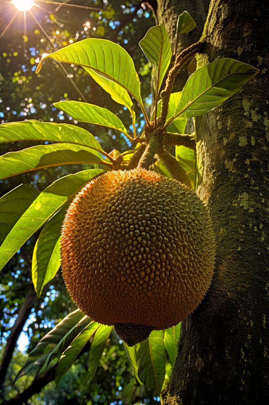 AI数字艺术菠萝蜜果树果园农产品摄影图片