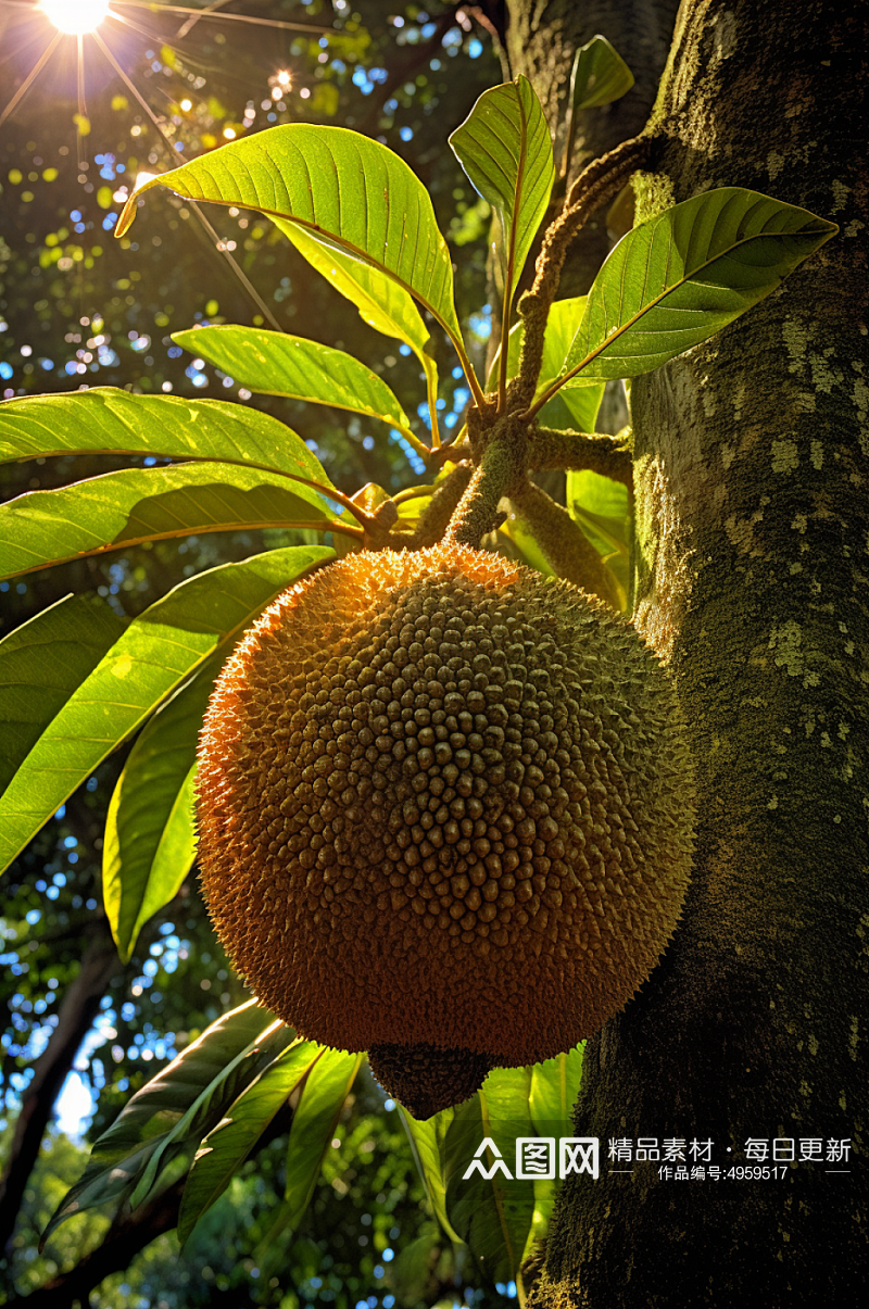 AI数字艺术菠萝蜜果树果园农产品摄影图片素材
