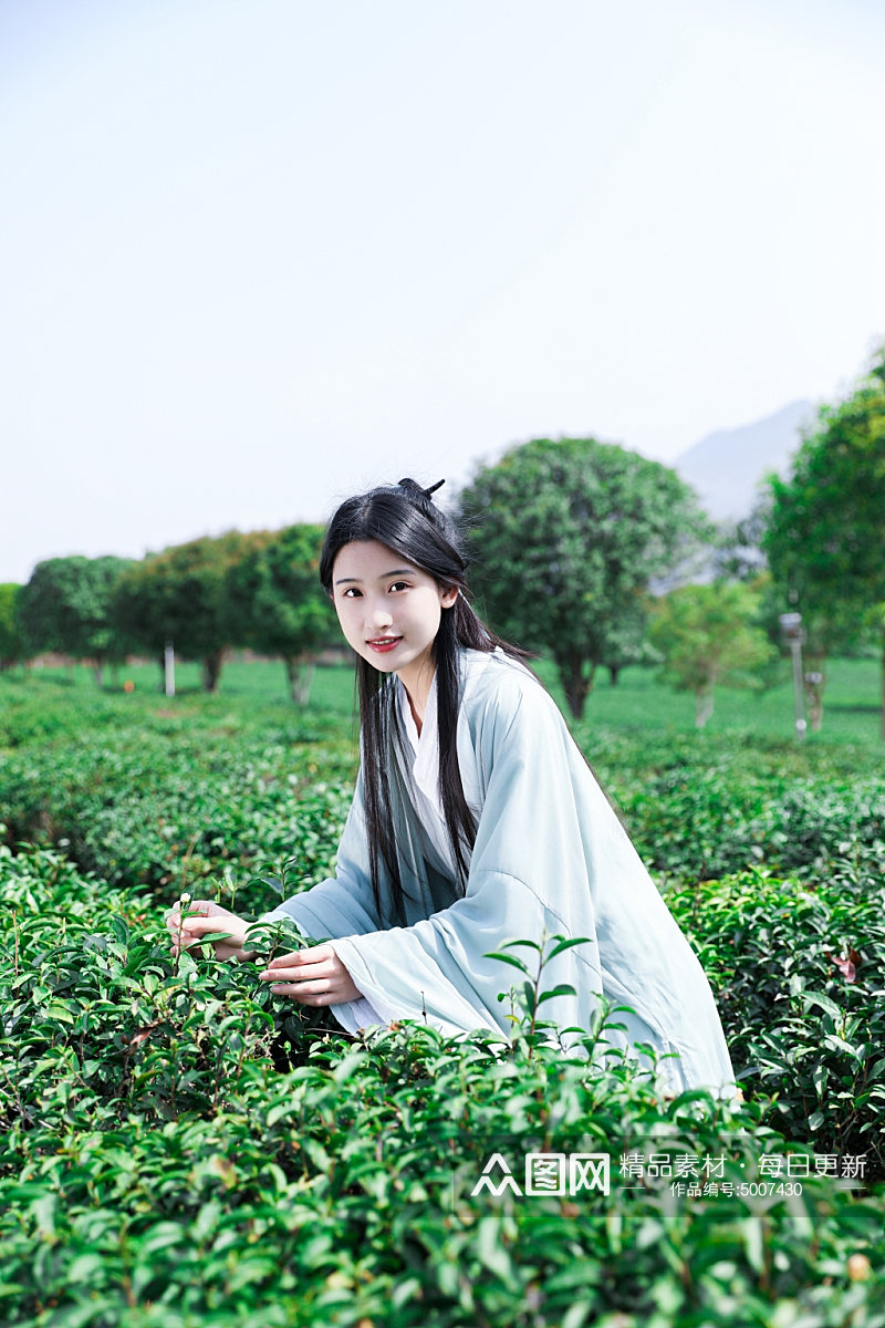 茶园古风汉服采茶少女人物摄影图片素材