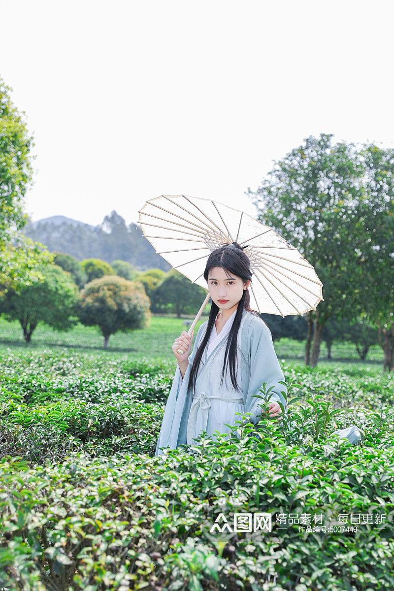 茶园古风汉服采茶少女人物摄影图片素材