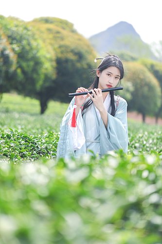 茶园古风汉服采茶少女人物摄影图片