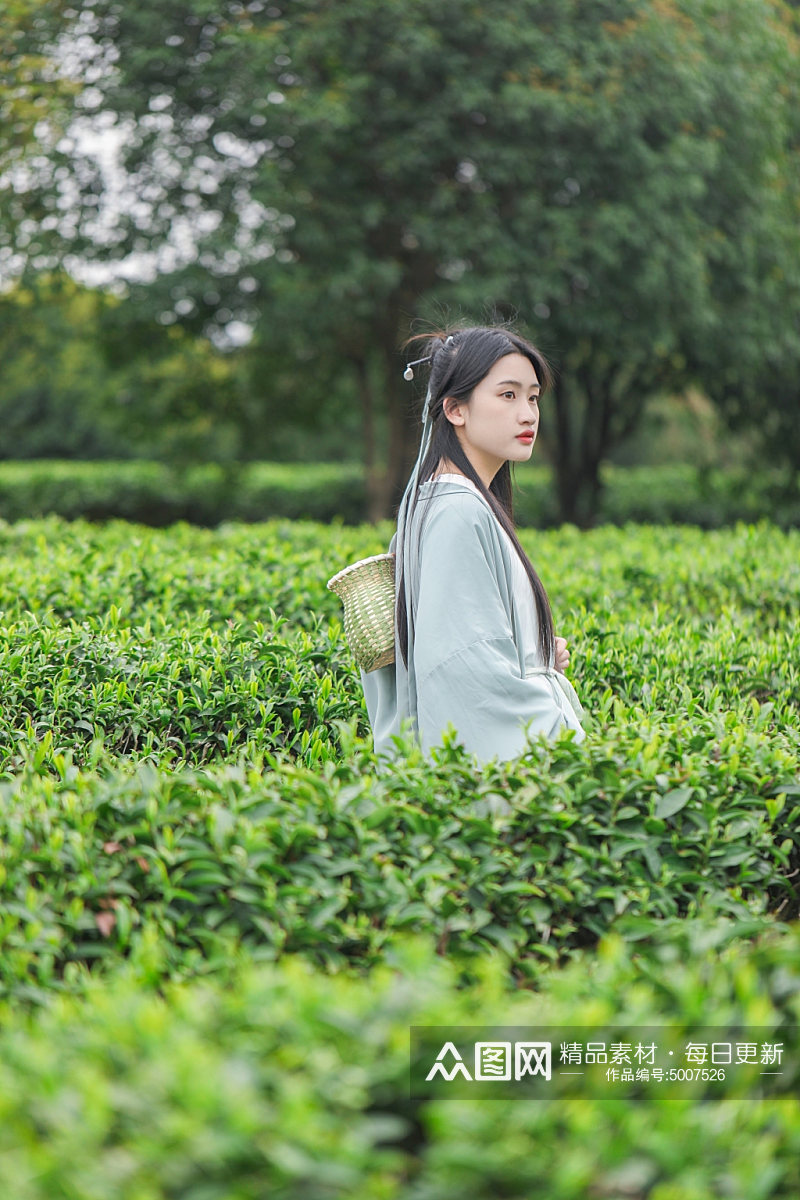 茶园古风汉服采茶少女人物摄影图片素材