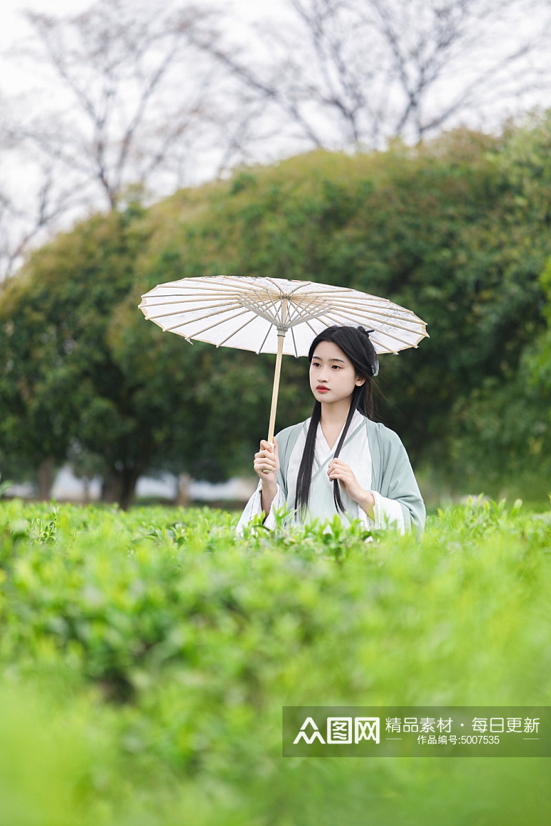 茶园古风汉服采茶少女人物摄影图片素材