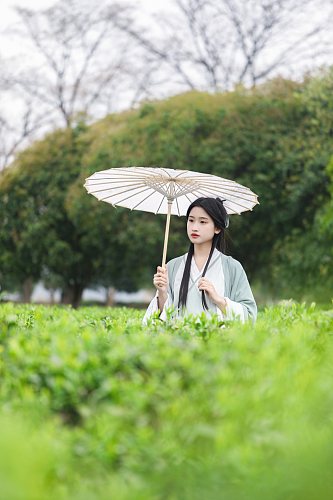 茶园古风汉服采茶少女人物摄影图片