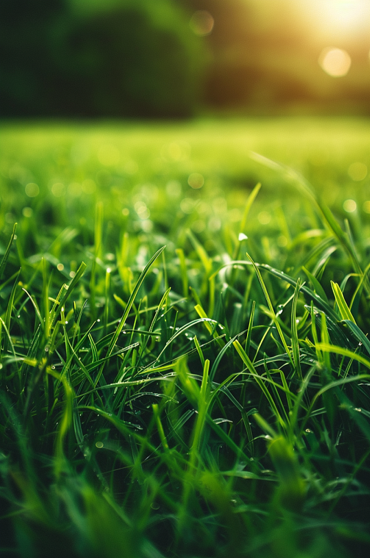 AI数字艺术草地草坪草坡图片-众图网