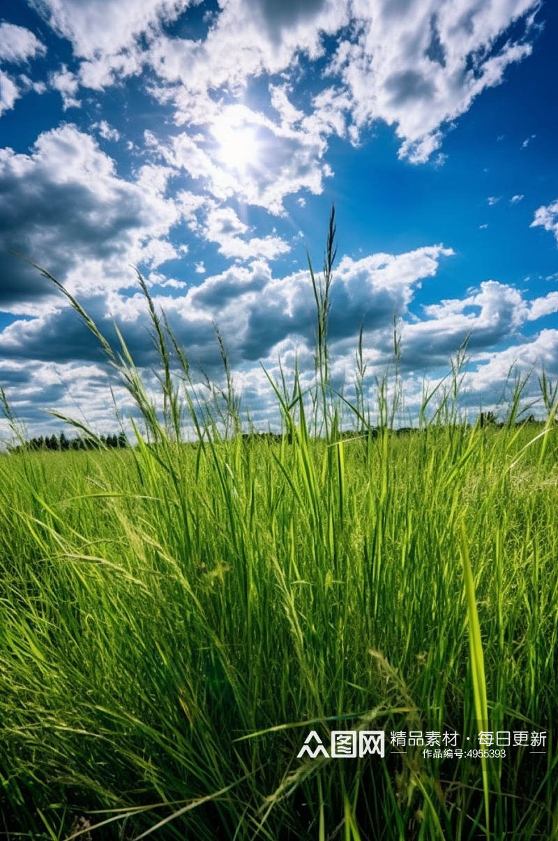 AI数字艺术绿色大草原蓝天白云摄影图片素材