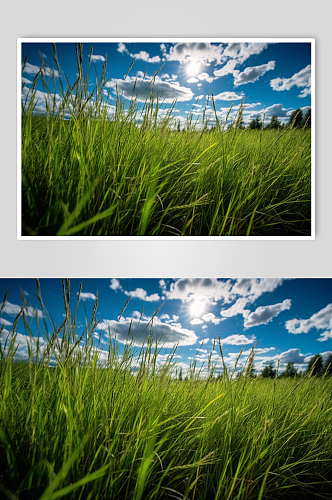 AI数字艺术绿色大草原蓝天白云摄影图片