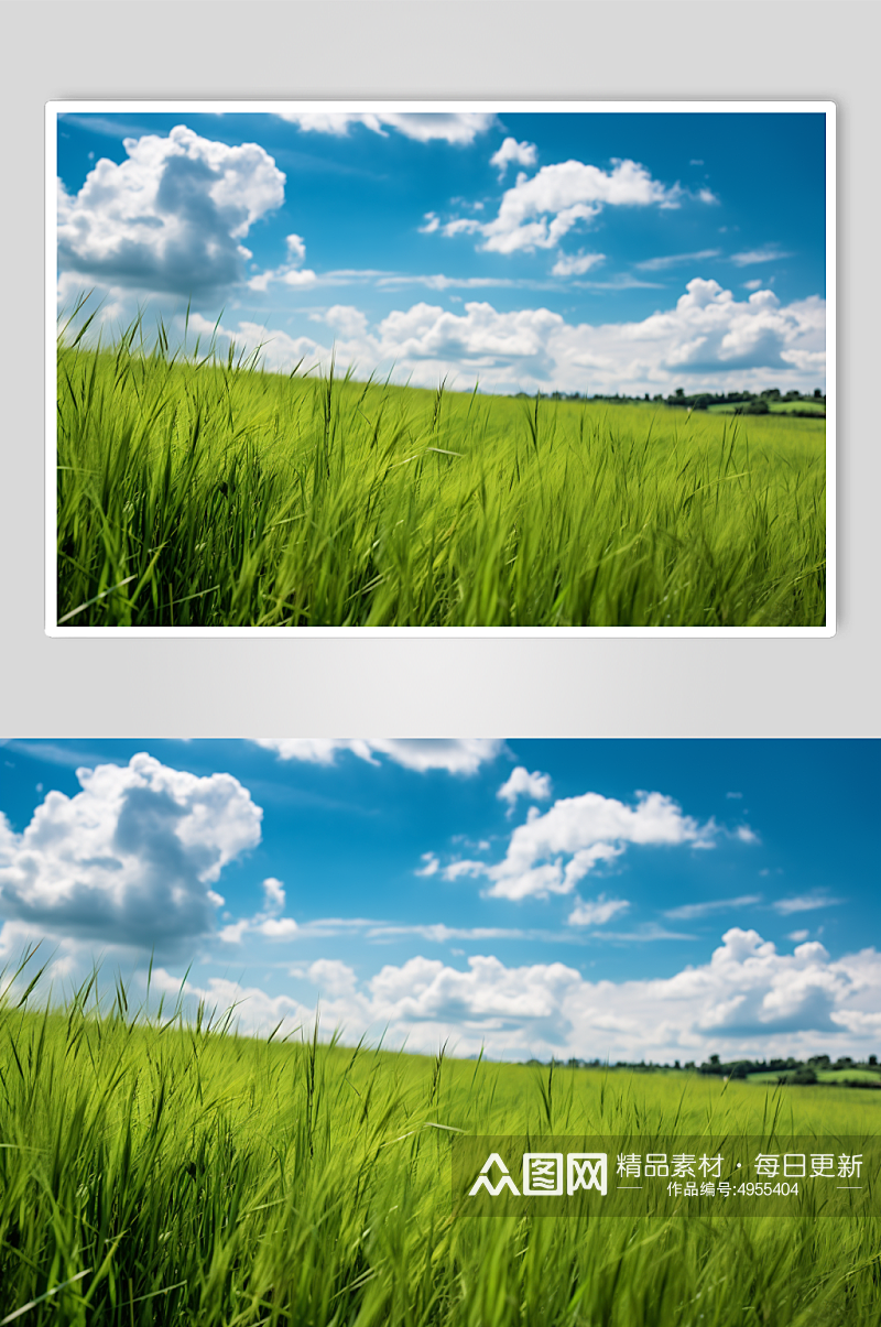 AI数字艺术绿色大草原蓝天白云摄影图片素材