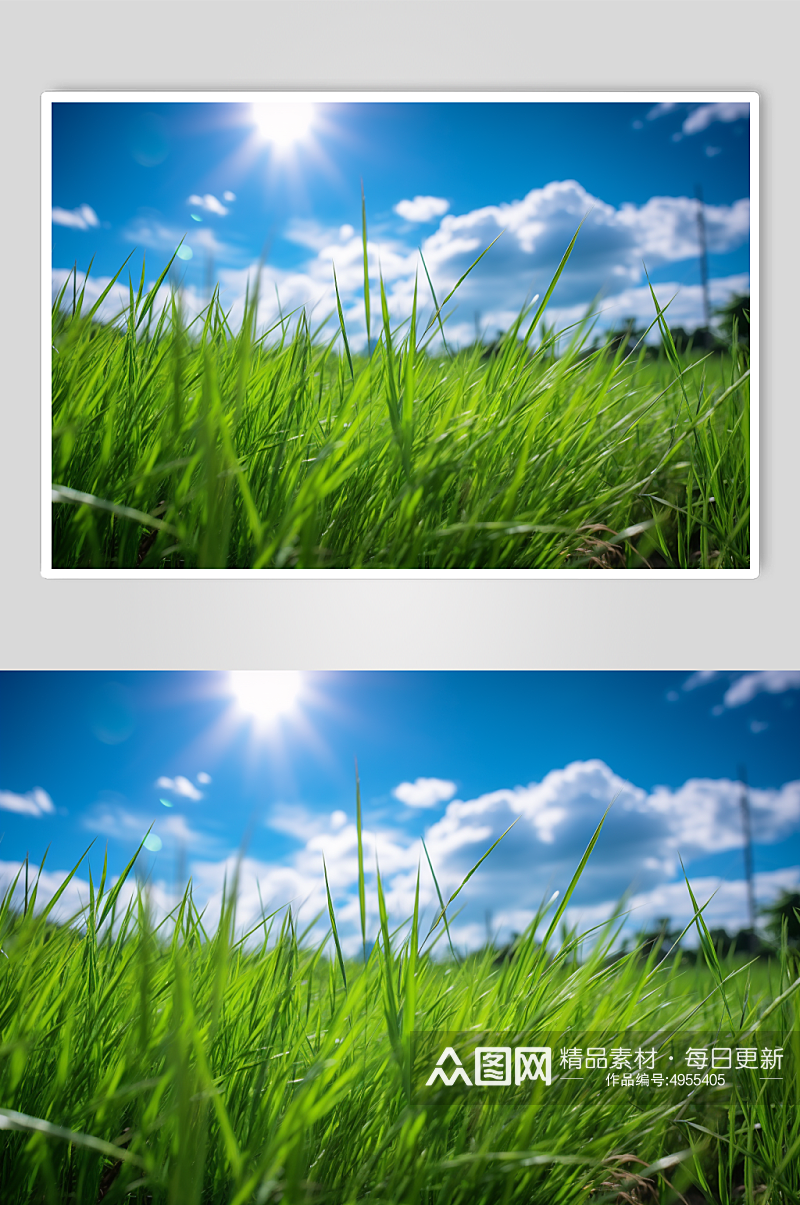 AI数字艺术绿色大草原蓝天白云摄影图片素材