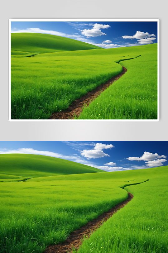 AI数字艺术绿色大草原蓝天白云摄影图