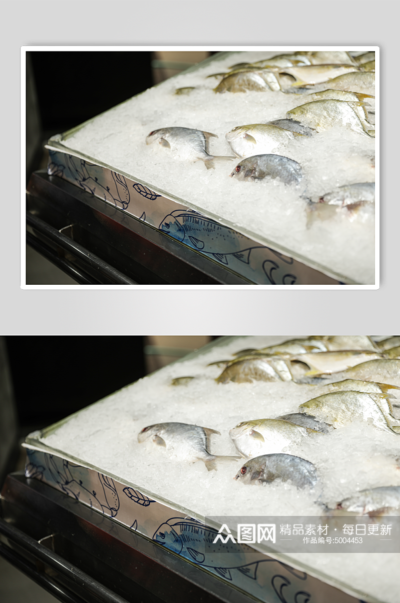 冰上鲜鱼果脯干货超市摄影图片素材