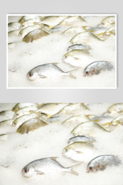冰上鲜鱼果脯干货超市摄影图片