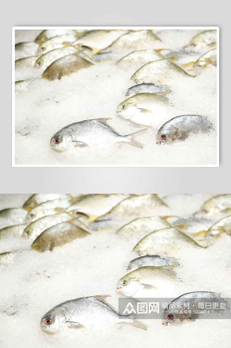冰上鲜鱼果脯干货超市摄影图片素材
