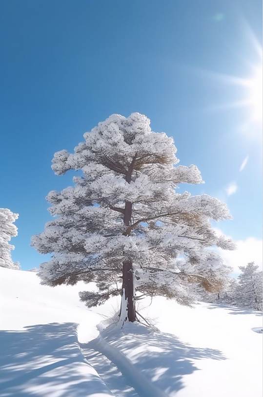 AI数字艺术创意小树大寒摄影图片