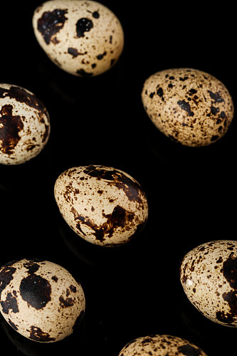 黑斑点鹌鹑蛋蛋类美食摄影图片