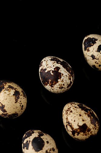 黑斑点鹌鹑蛋蛋类美食摄影图片