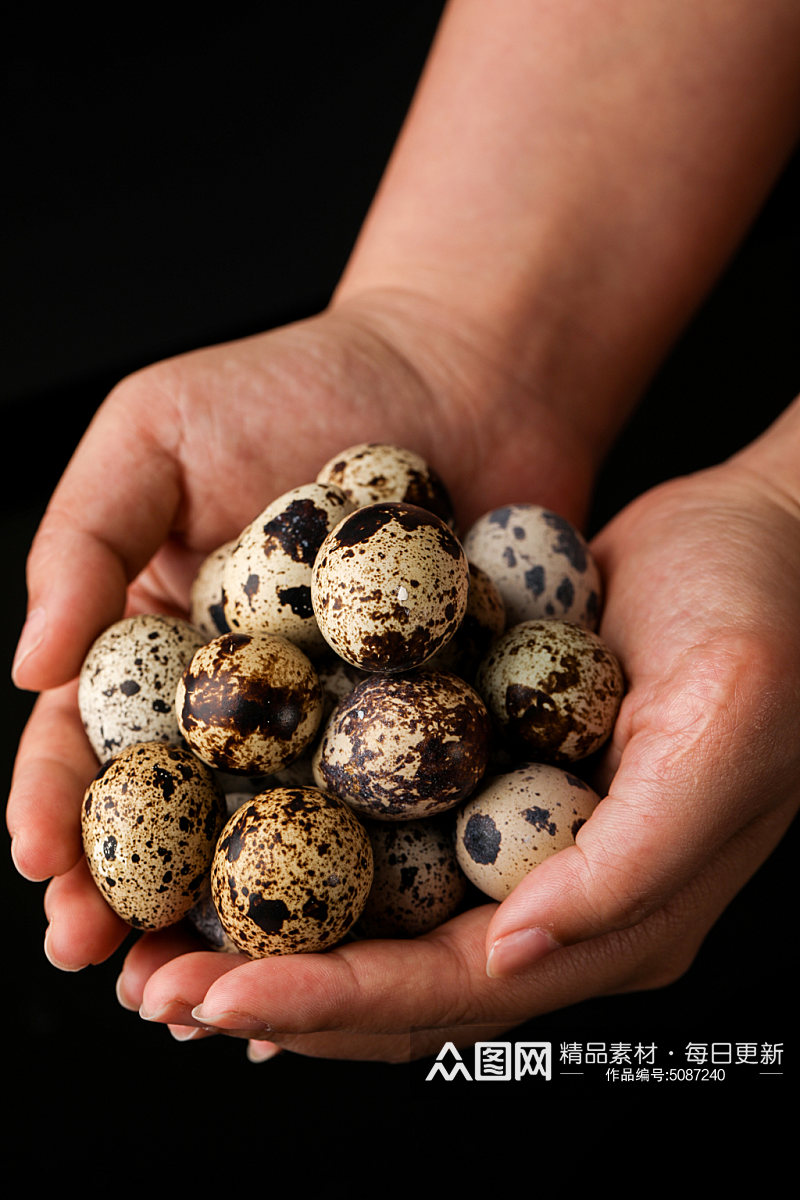 黑斑点鹌鹑蛋蛋类美食摄影图片素材