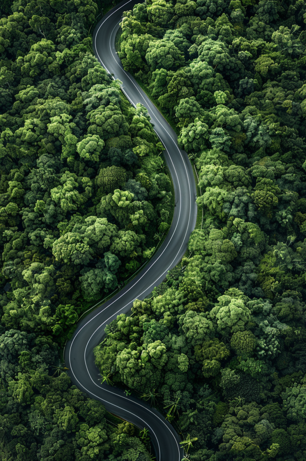 AI数字艺术马路道路沥青路图片素材