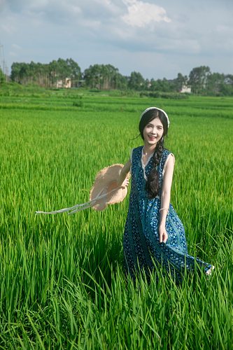 连衣裙夏季稻田女生美女人物摄影图片